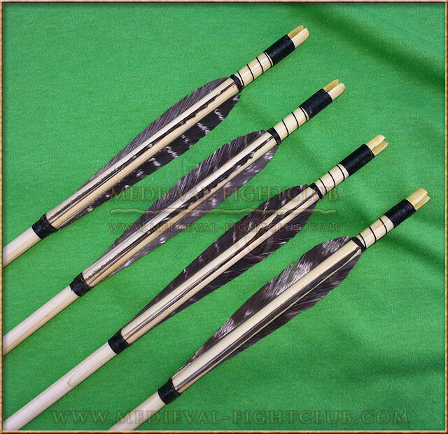 Arrow - Turkey feathers with target points